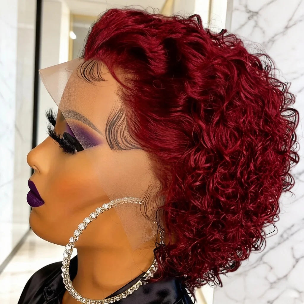 Lace Front Wig for Women Natural